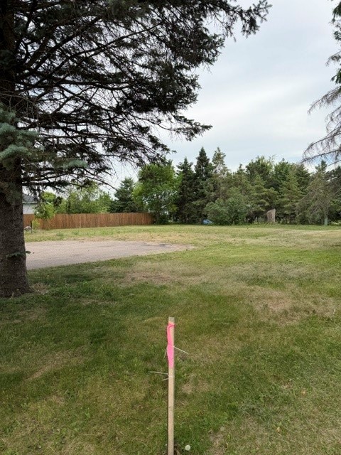 29 Bird Street Property Photo 2
