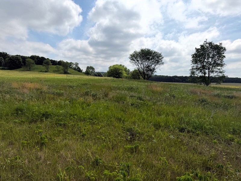 Lot 2 County Road F Property Photo 1