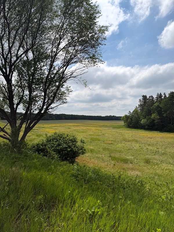 Lot 2 County Road F Property Photo 2