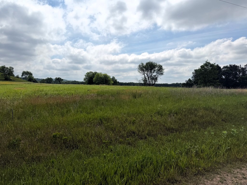 Lot 2 County Road F Property Photo 3