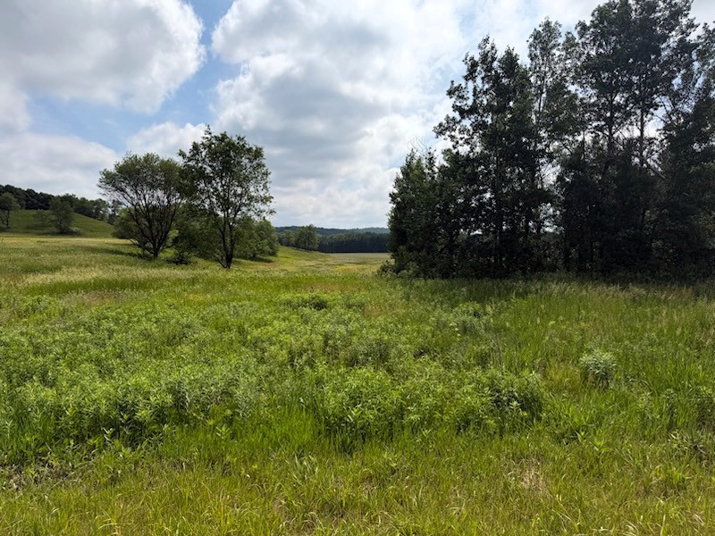 Lot 2 County Road F Property Photo 5