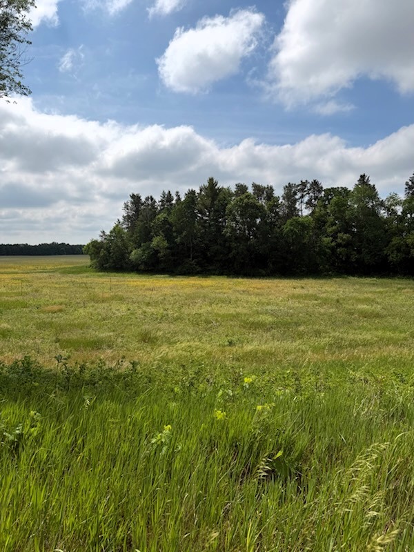 Lot 2 County Road F Property Photo 6