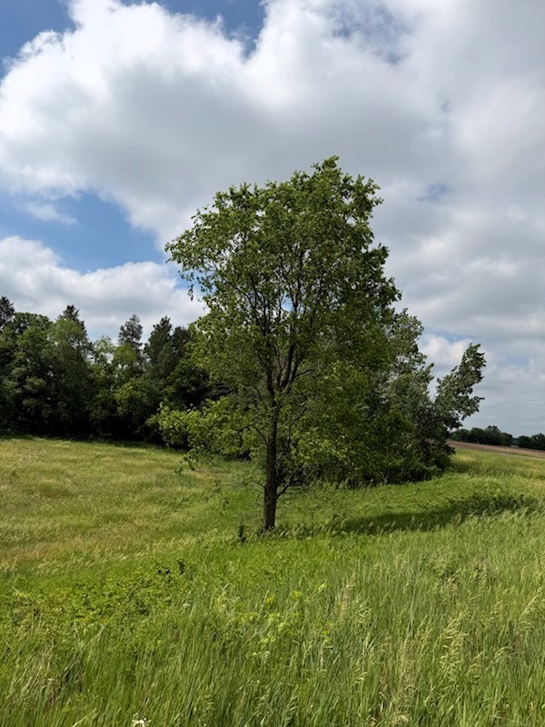 Lot 2 County Road F Property Photo 7