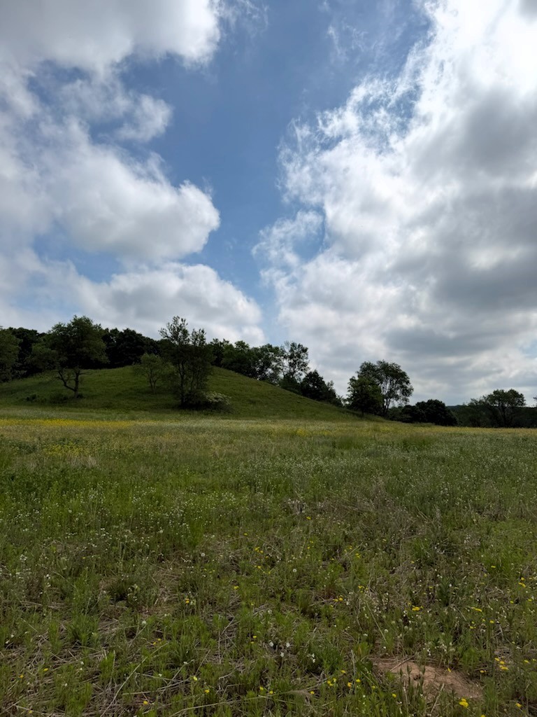 Lot 2 County Road F Property Photo 8