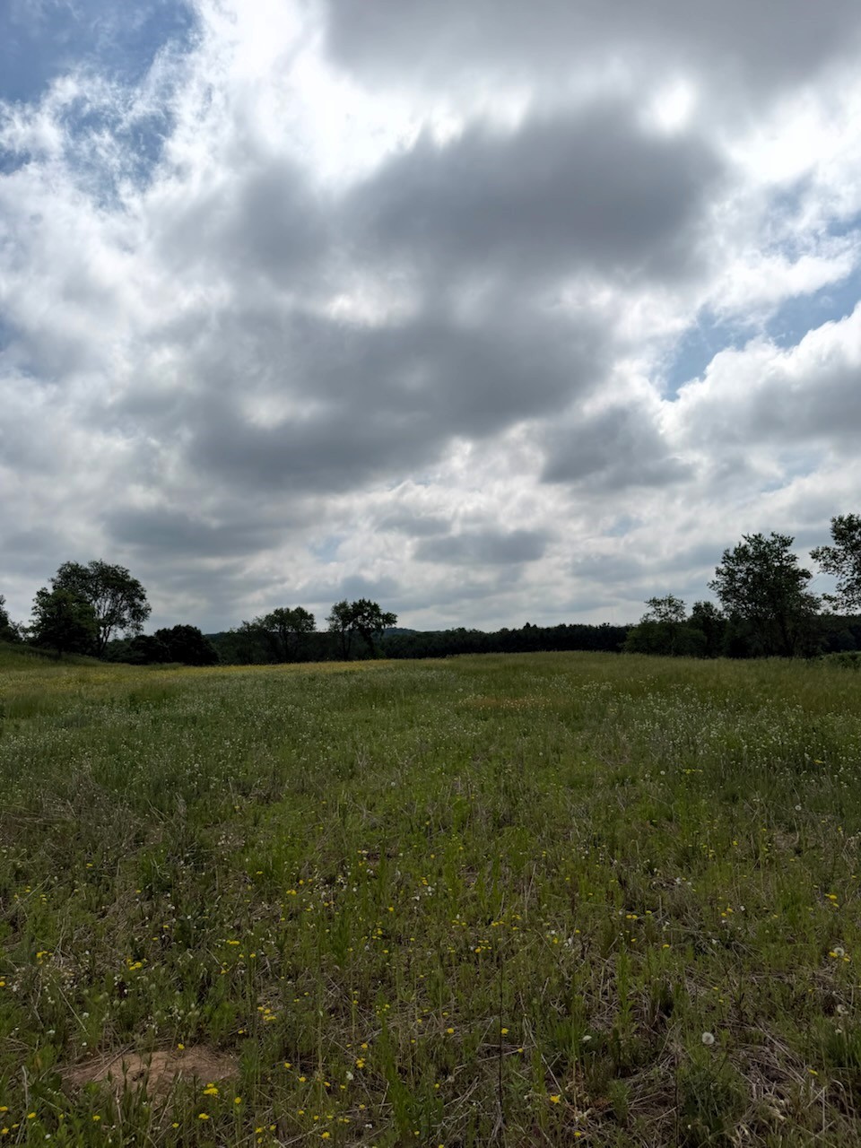 Lot 2 County Road F Property Photo 9