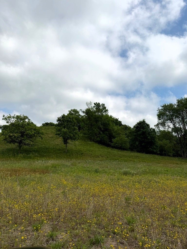 Lot 2 County Road F Property Photo 10