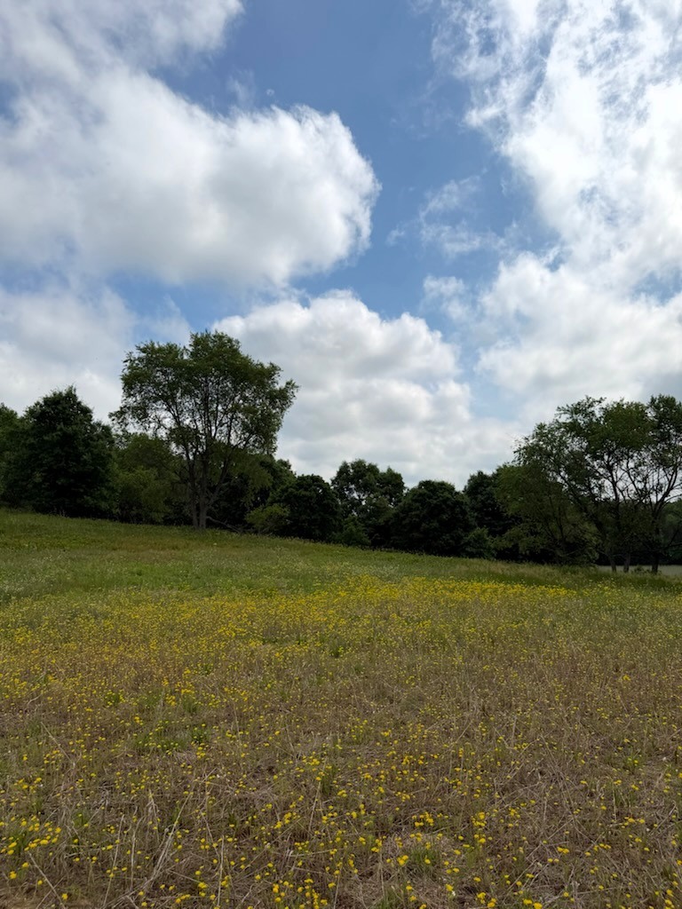 Lot 2 County Road F Property Photo 11