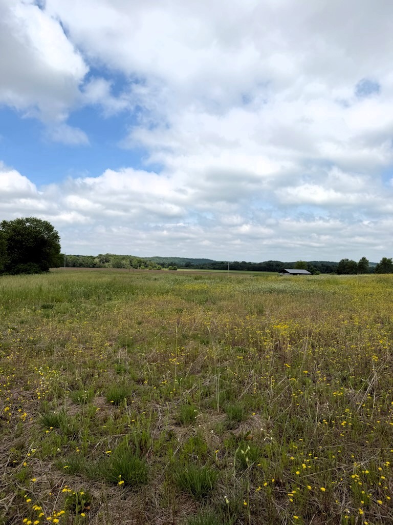Lot 2 County Road F Property Photo 12