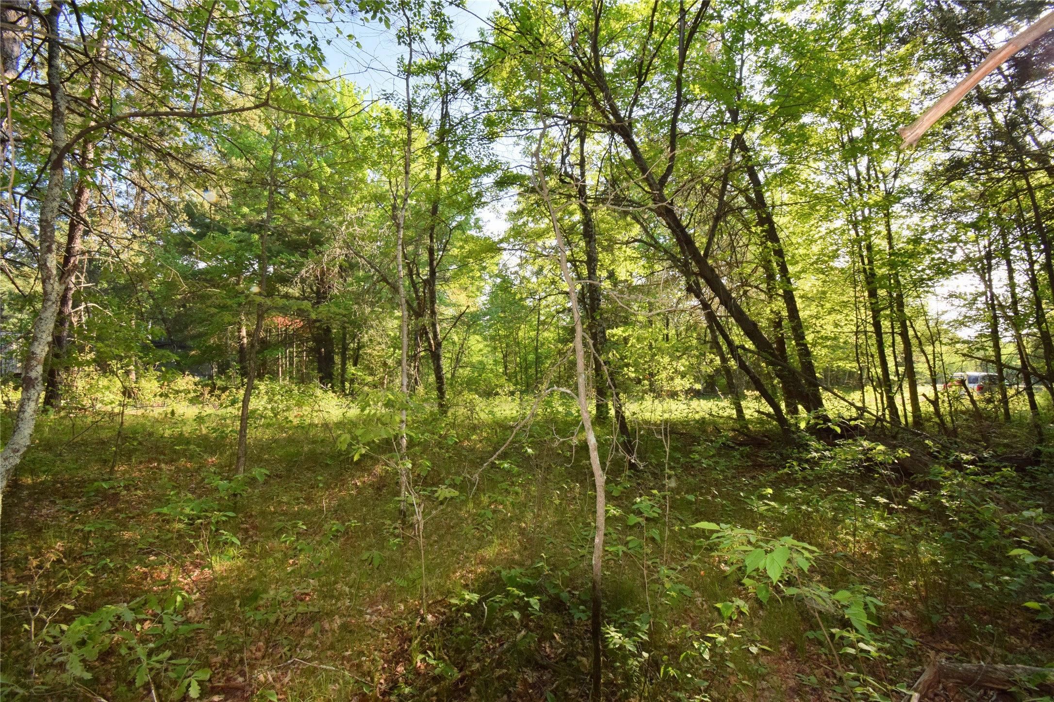 Lot 31 Setting Sun Trail Way Property Photo 1