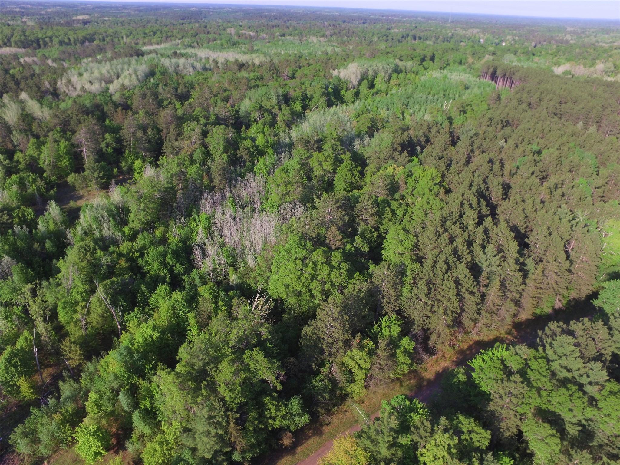 Lot 31 Setting Sun Trail Way Property Photo 9