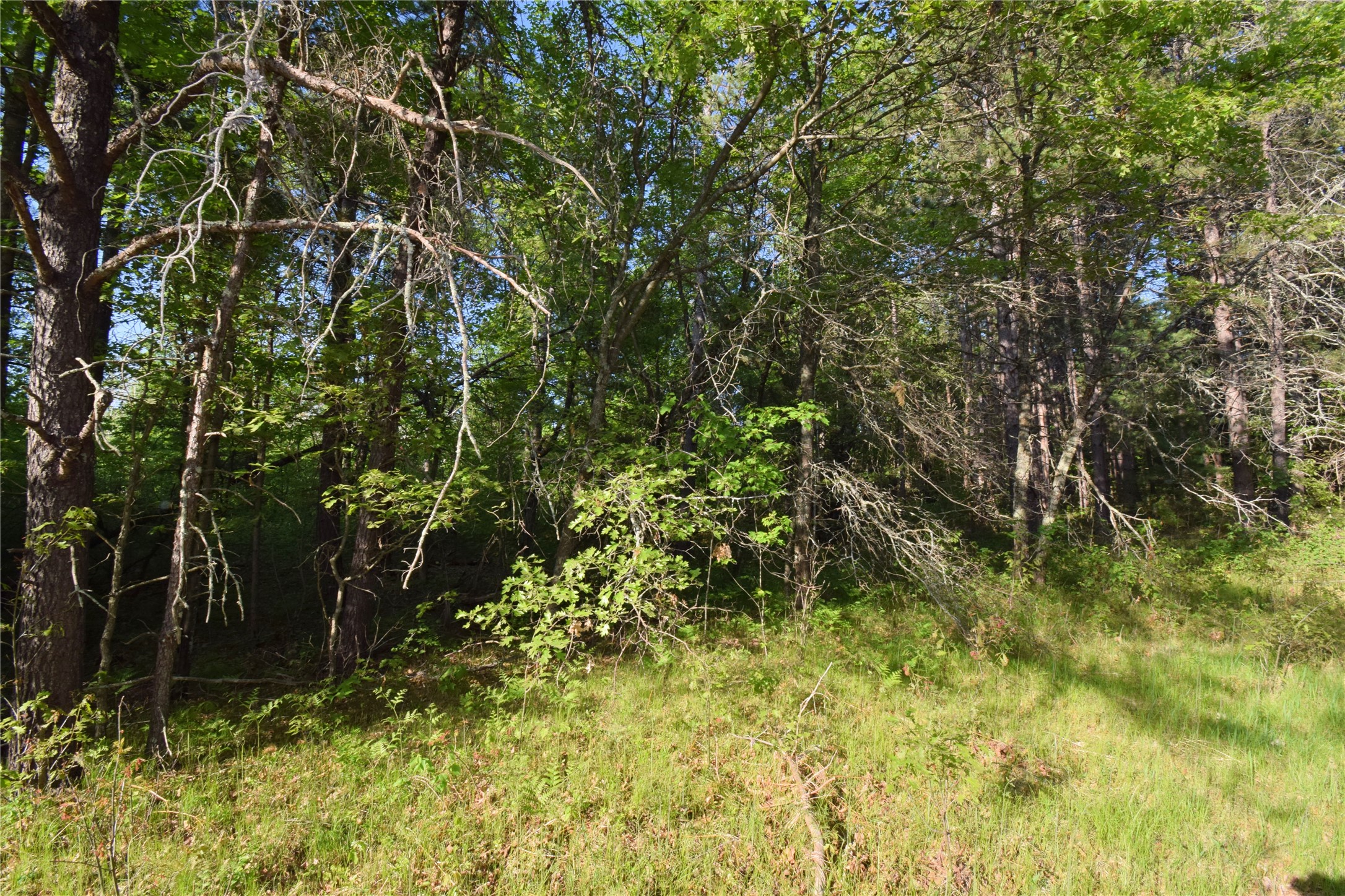 Lot 31 Setting Sun Trail Way Property Photo 12
