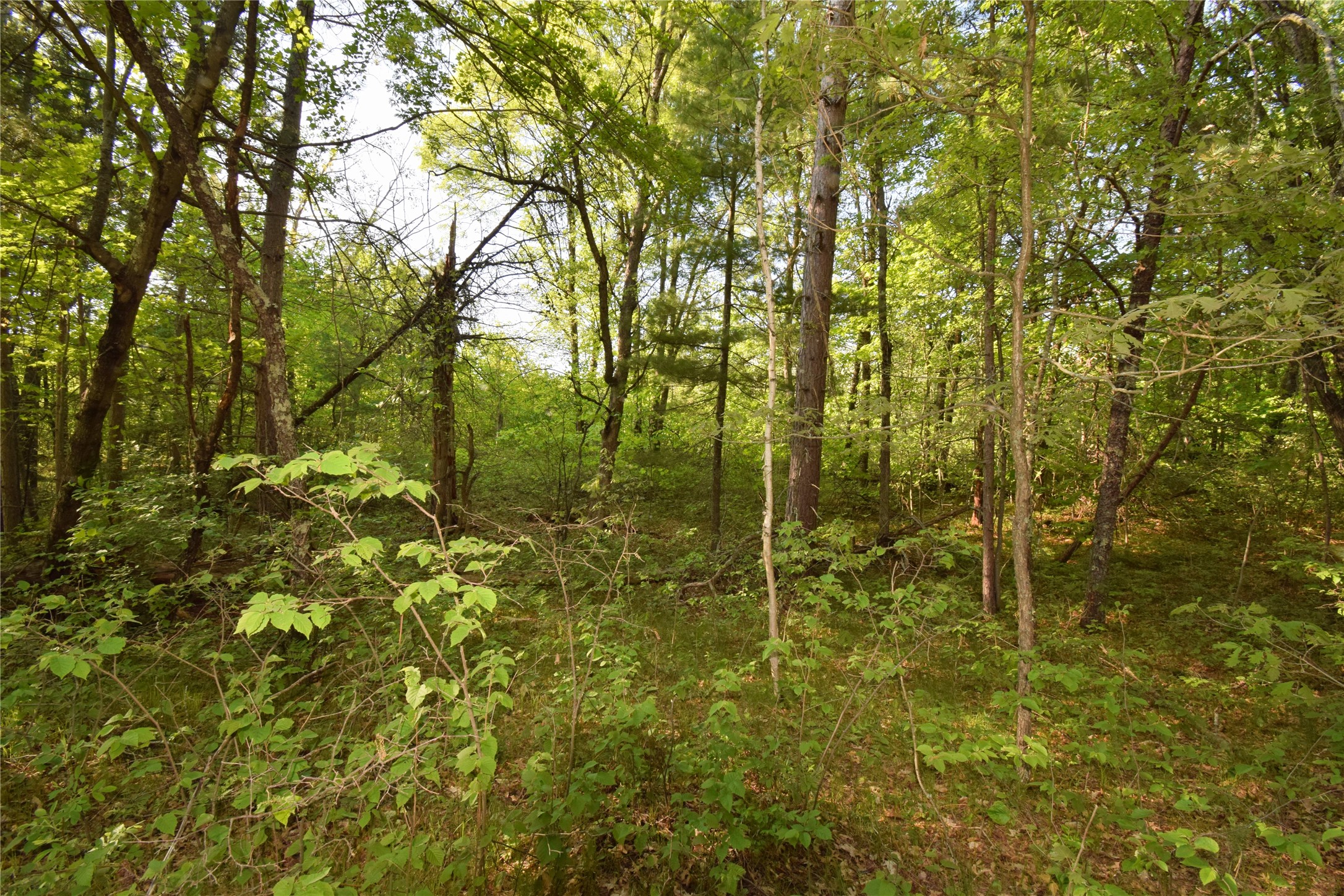 Lot 31 Setting Sun Trail Way Property Photo 13