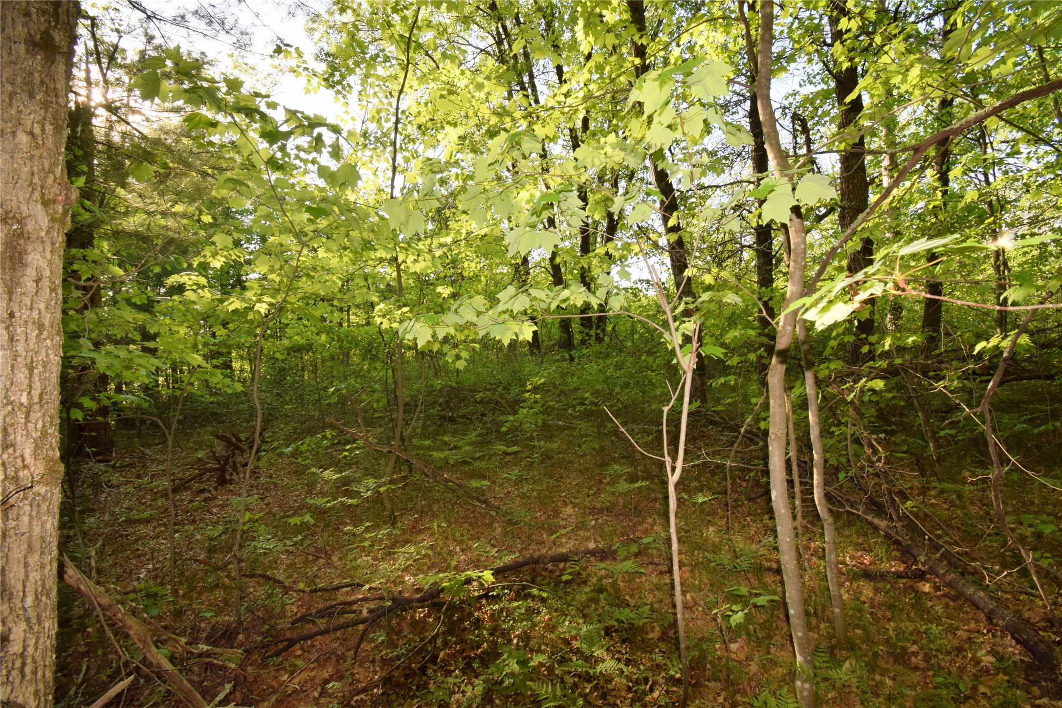 Lot 31 Setting Sun Trail Way Property Photo 14