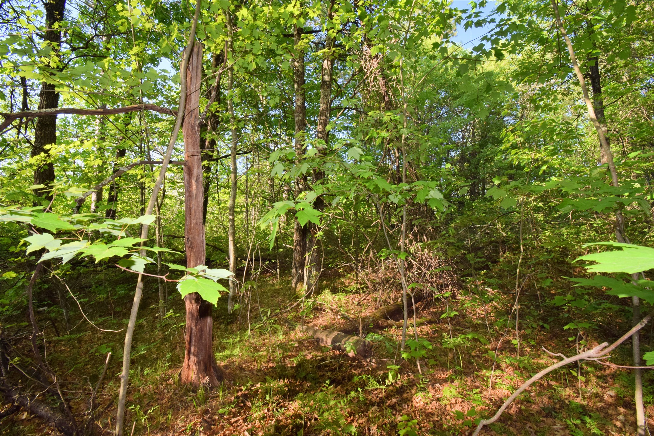 Lot 31 Setting Sun Trail Way Property Photo 15