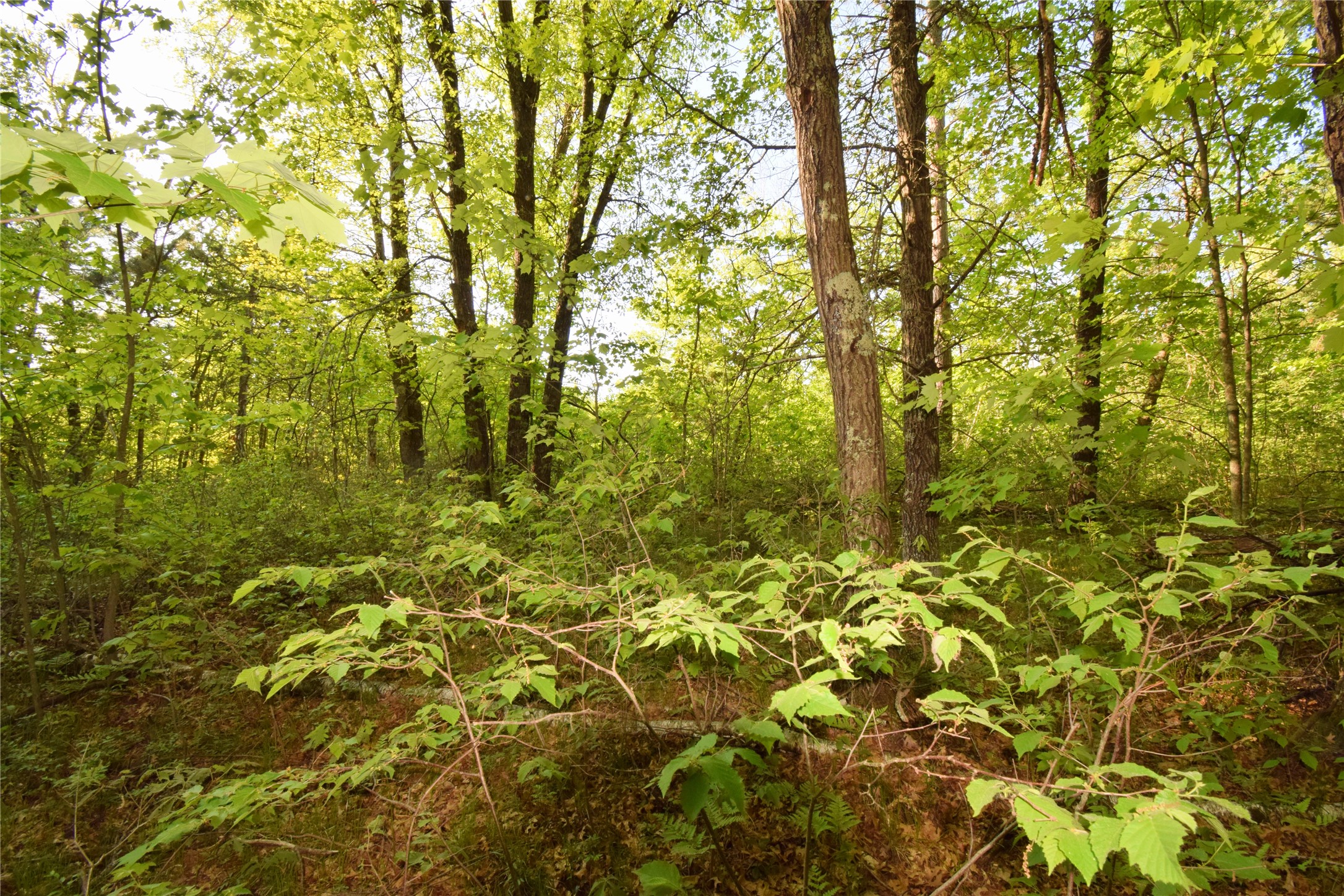 Lot 31 Setting Sun Trail Way Property Photo 16