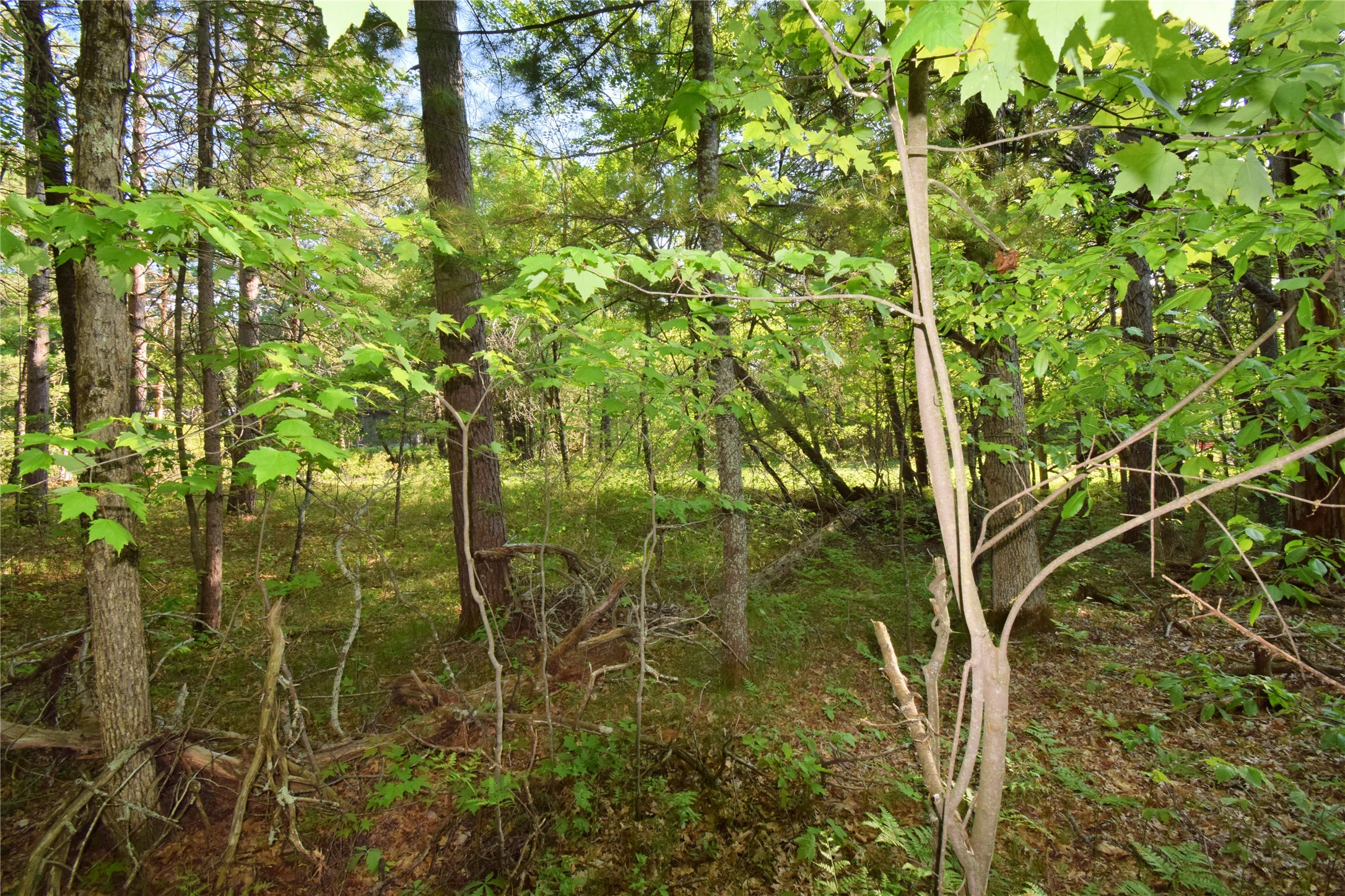 Lot 31 Setting Sun Trail Way Property Photo 17