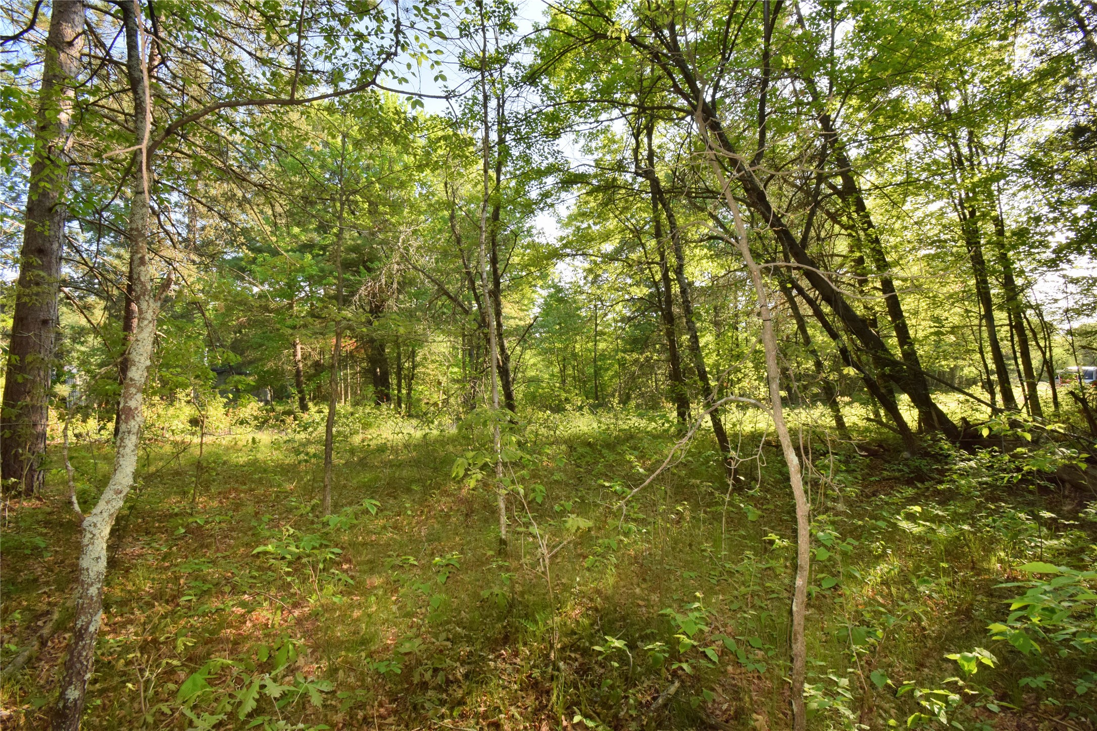 Lot 31 Setting Sun Trail Way Property Photo 18