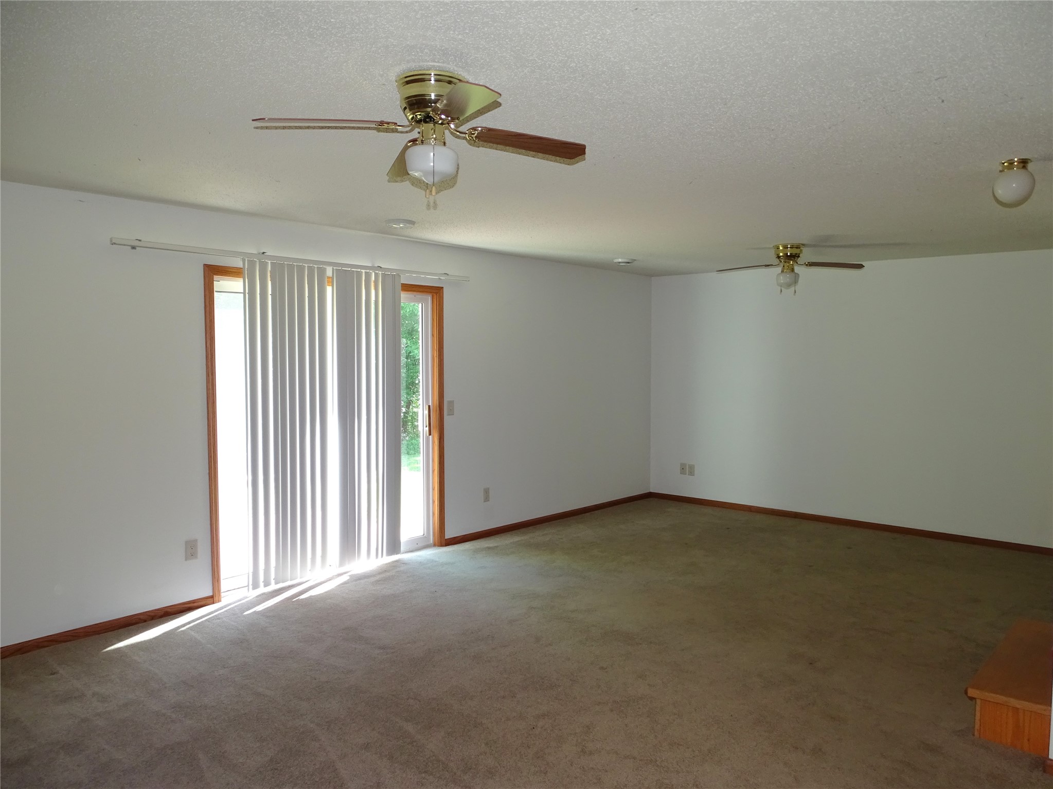186 Country Lane Property Photo 19