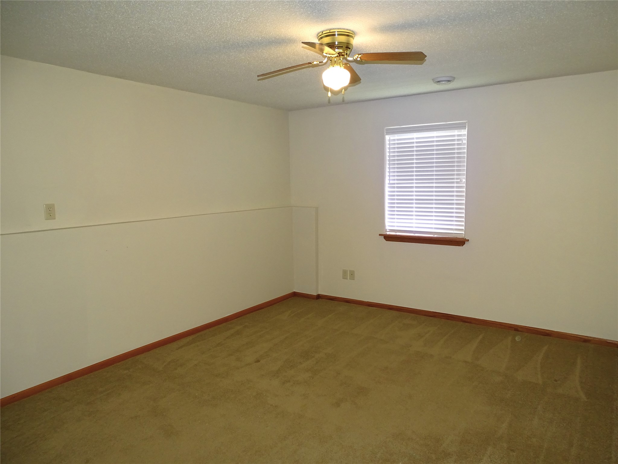 186 Country Lane Property Photo 21