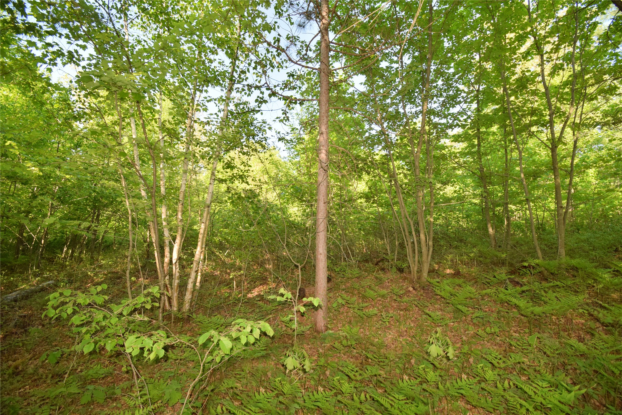 Lot 106 Setting Sun Court Property Photo 15