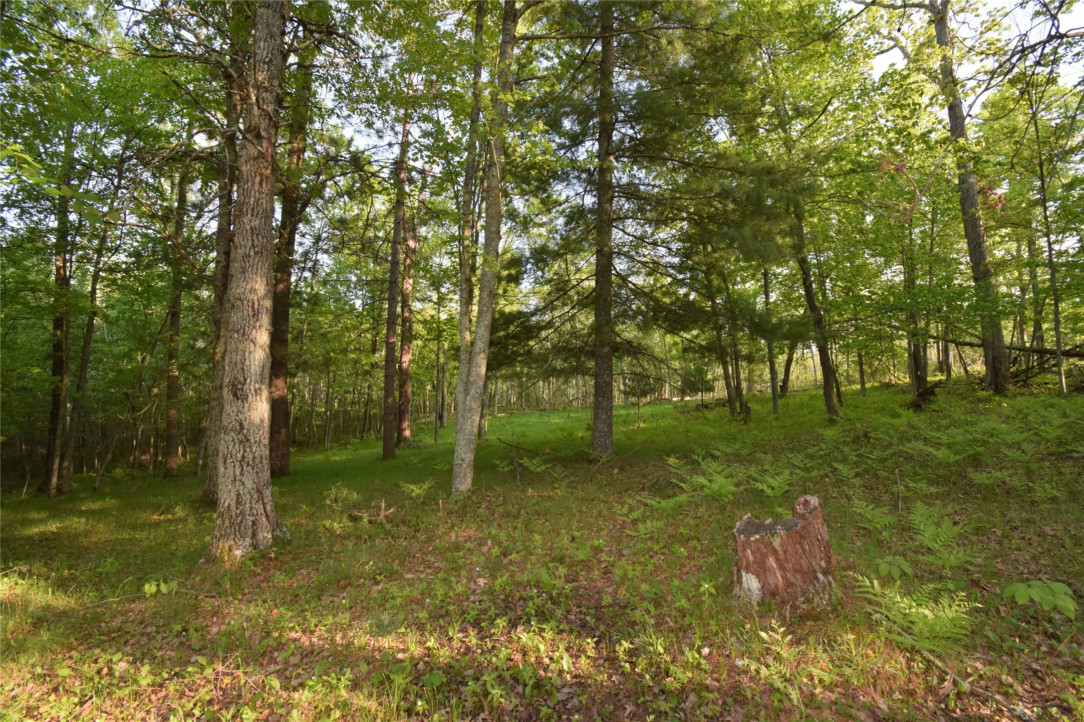 Lot 19 Aspen Hill Trailway Property Photo 14
