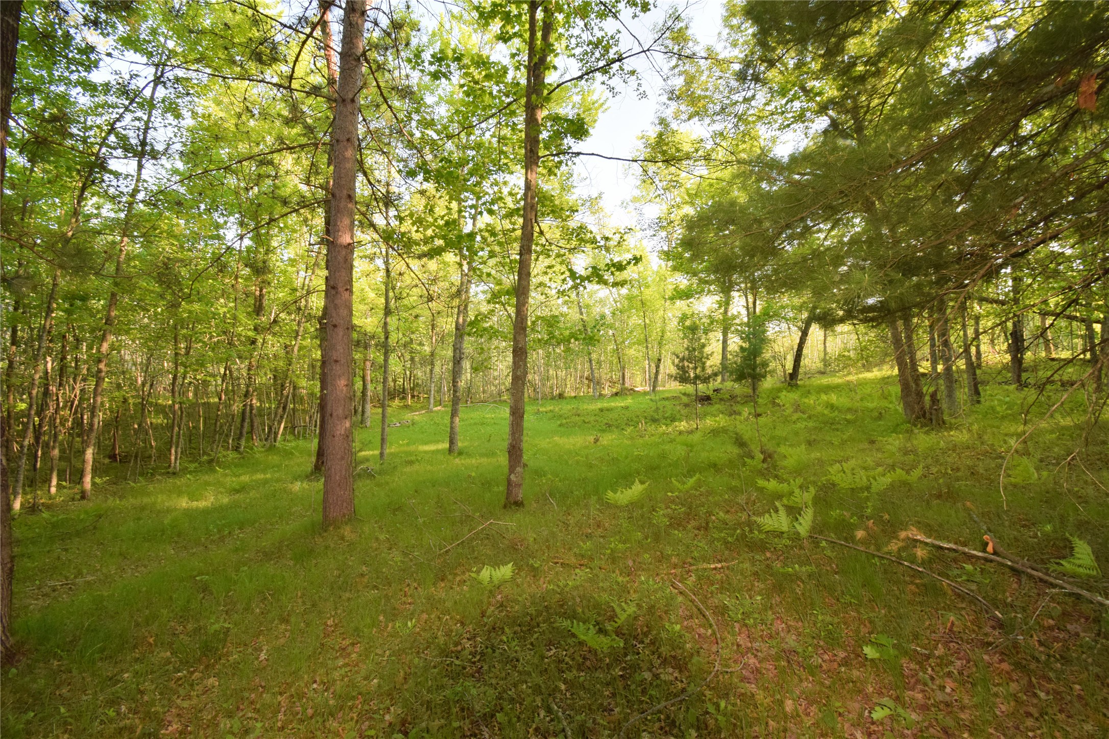 Lot 19 Aspen Hill Trailway Property Photo 15