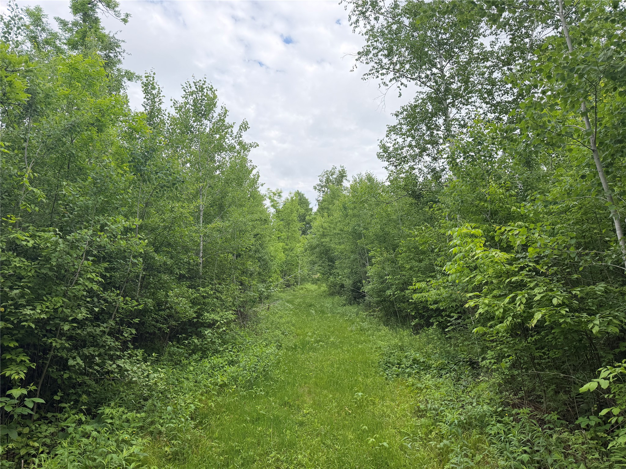 1130 N Sunset Lane Property Photo 42