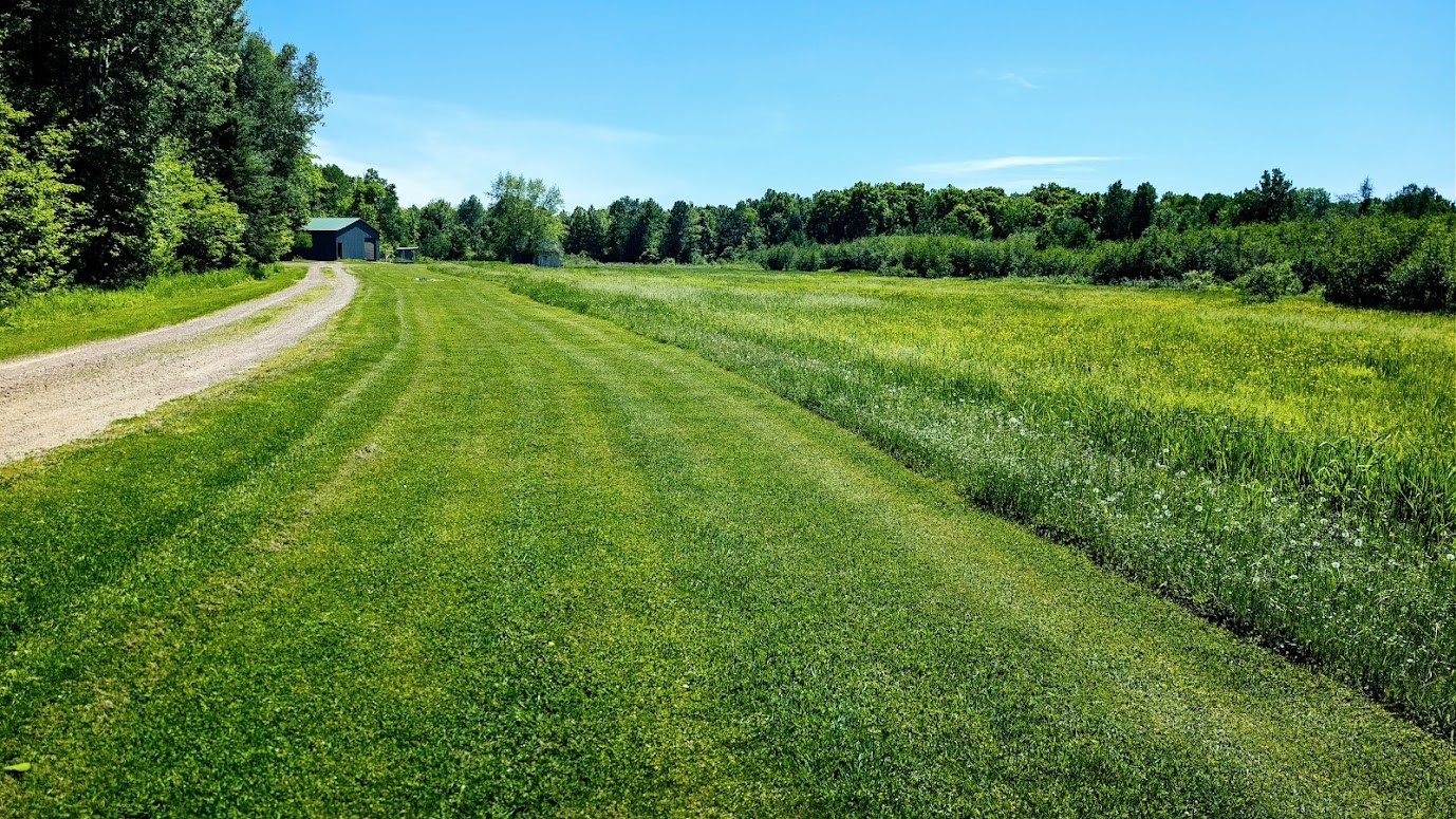 W4241 Walrath Road Property Photo 41