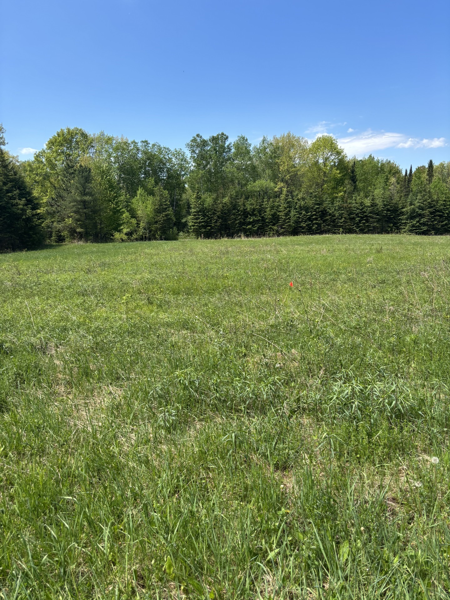 N3860 Kostka Road Property Photo 1
