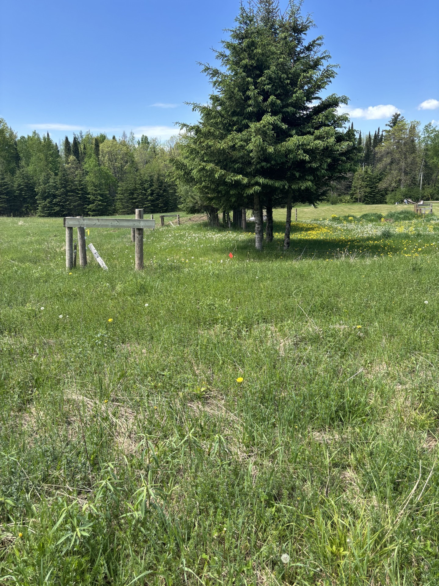 N3860 Kostka Road Property Photo 2