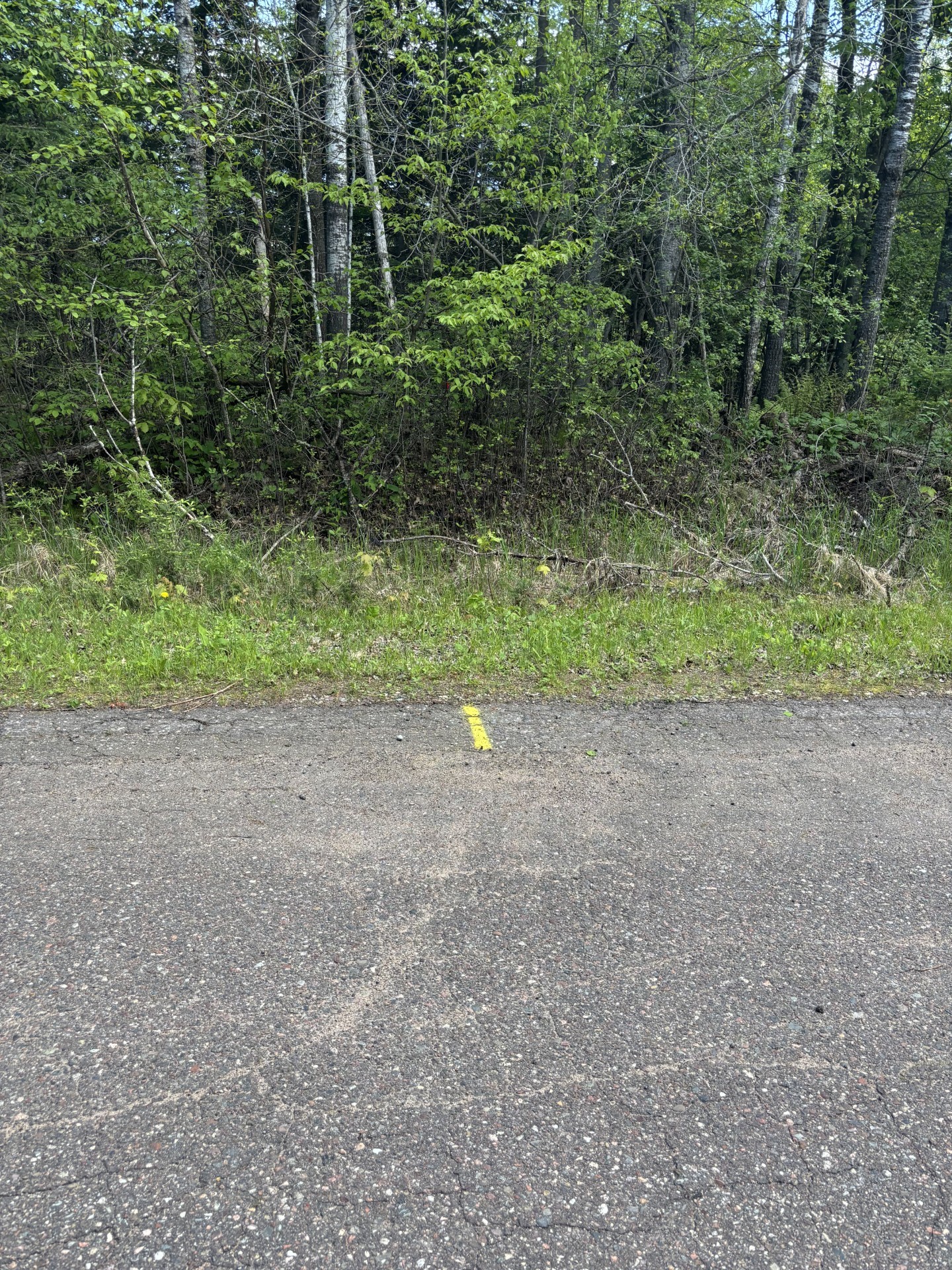 N3860 Kostka Road Property Photo 3