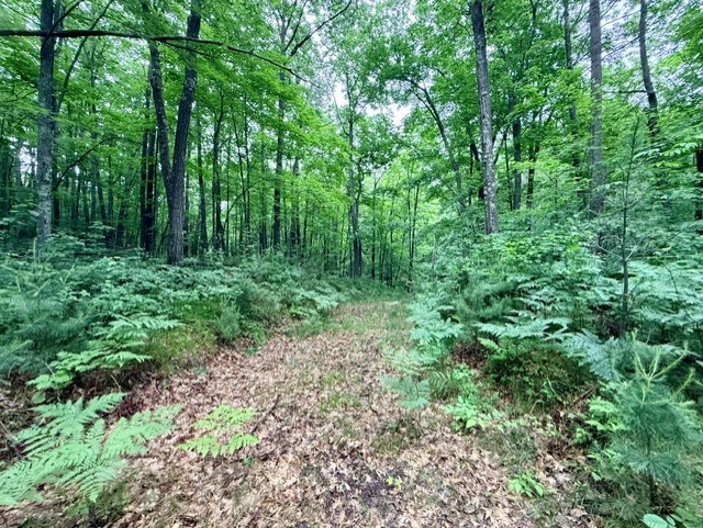 8827 N Norwis Road Property Photo 1
