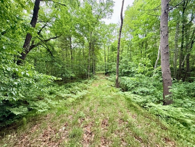 8827 N Norwis Road Property Photo 2