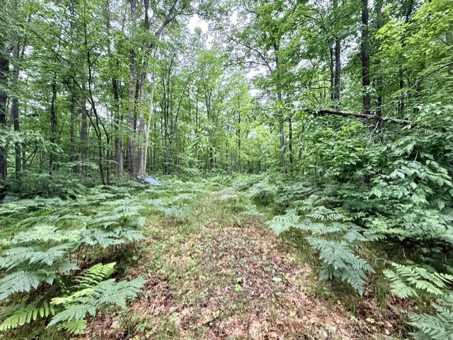 8827 N Norwis Road Property Photo 3