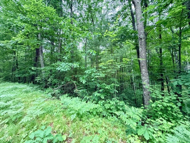 8827 N Norwis Road Property Photo 4