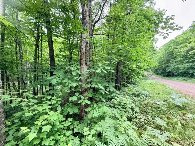 8827 N Norwis Road Property Photo 6