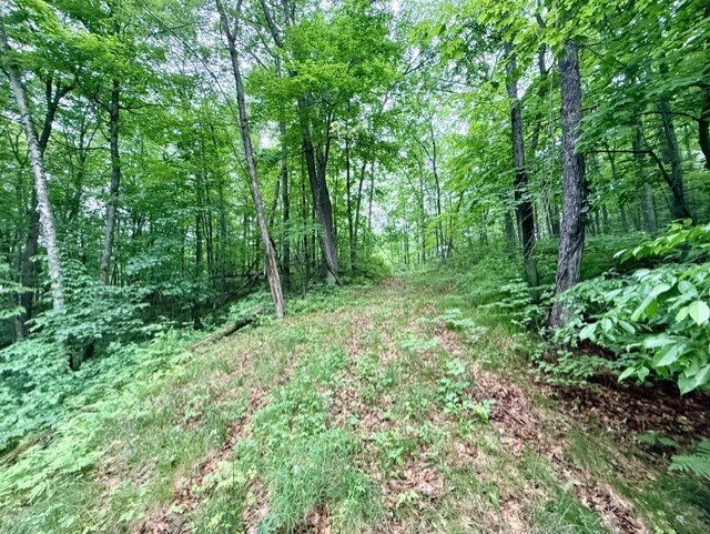 8827 N Norwis Road Property Photo 8