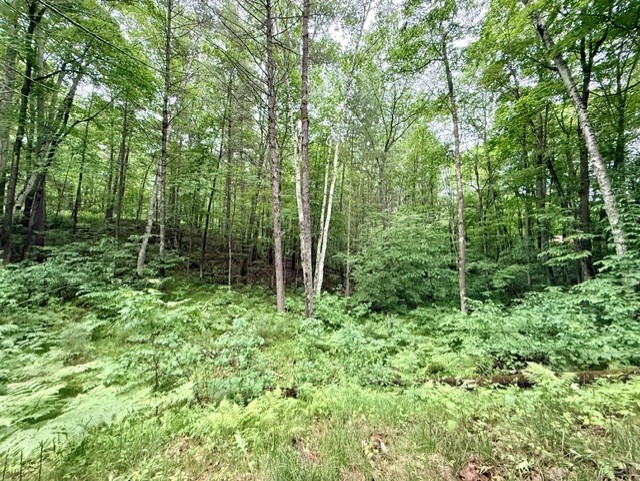 8827 N Norwis Road Property Photo 9