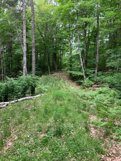 8827 N Norwis Road Property Photo 11