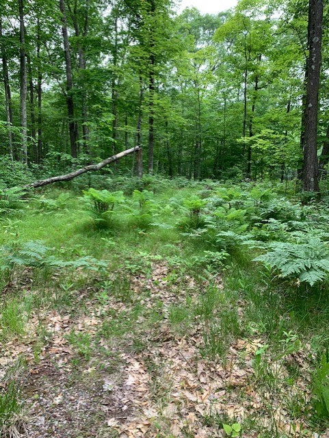 8827 N Norwis Road Property Photo 13