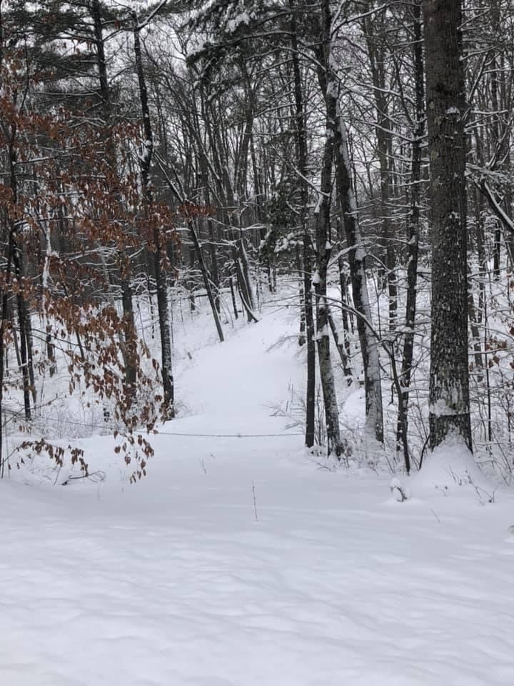 8827 N Norwis Road Property Photo 14