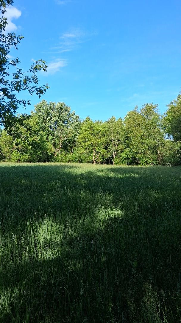 W14006 County Road B Property Photo 13