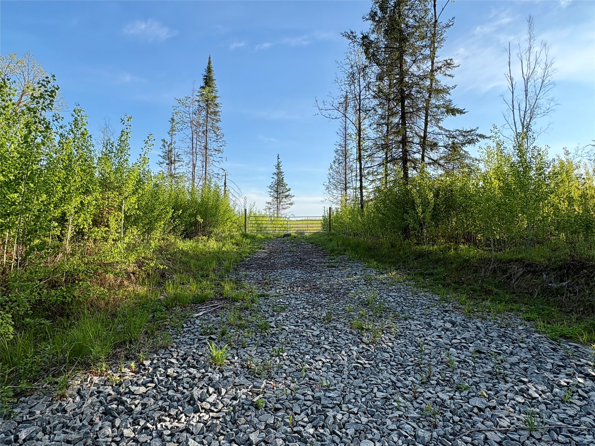 Lot 2 Girod Road Property Photo 1