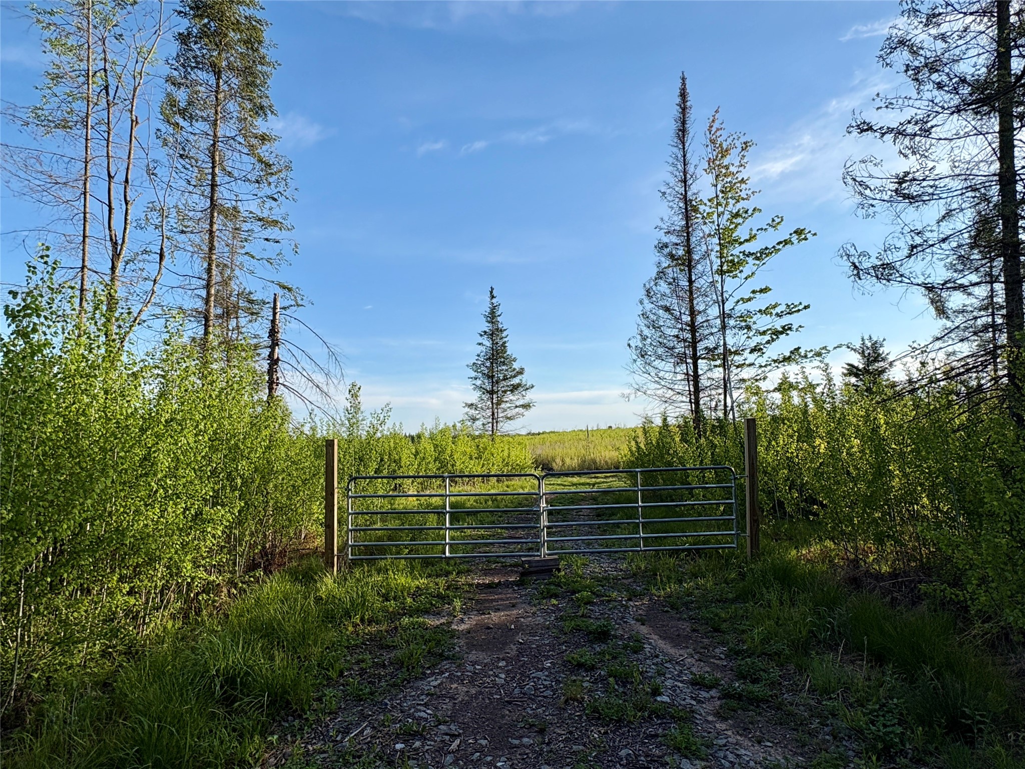 Lot 2 Girod Road Property Photo 2