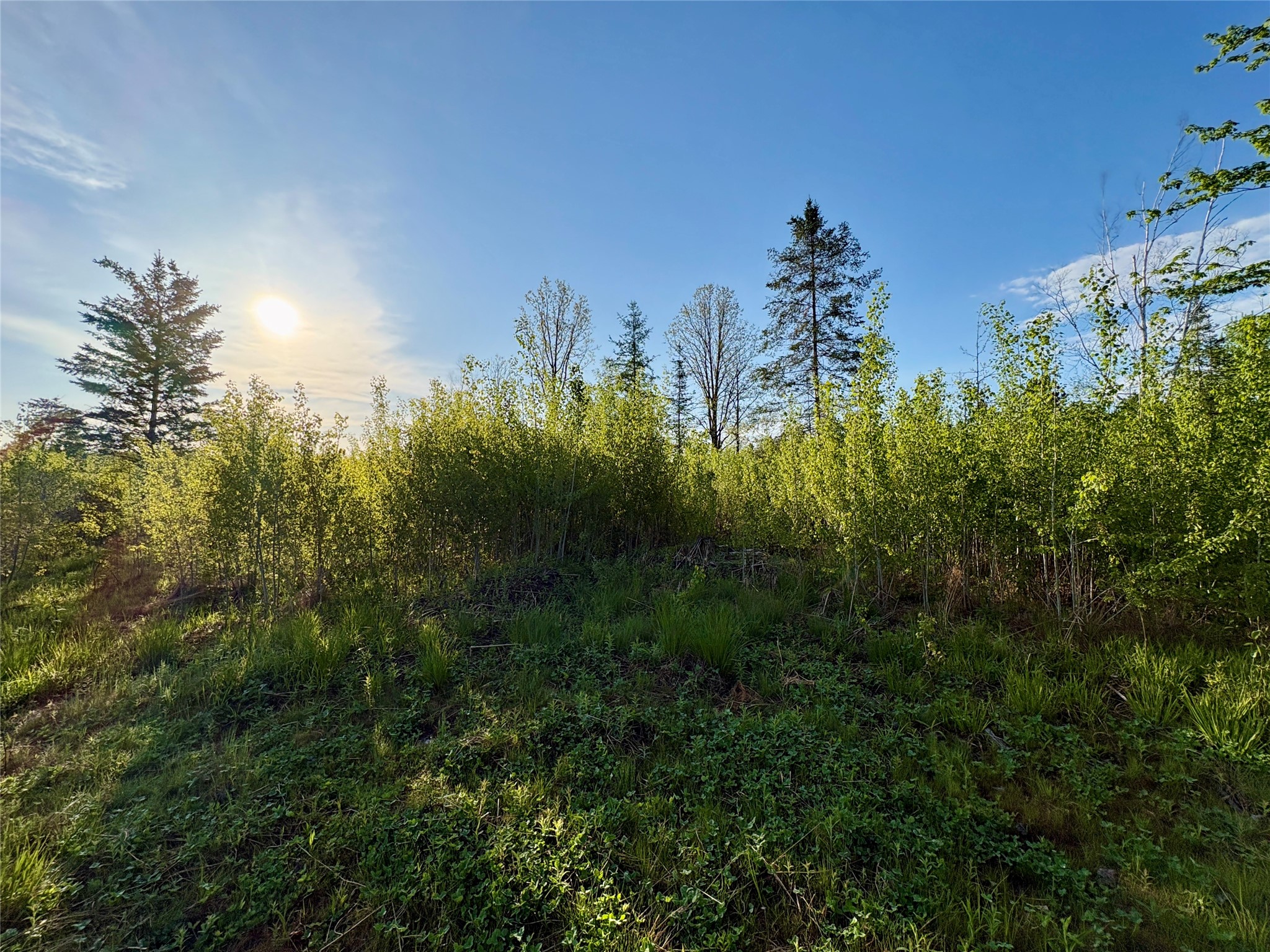 Lot 2 Girod Road Property Photo 4