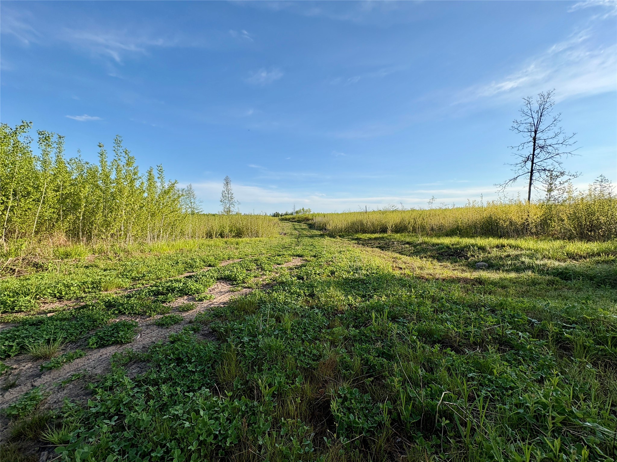 Lot 2 Girod Road Property Photo 5