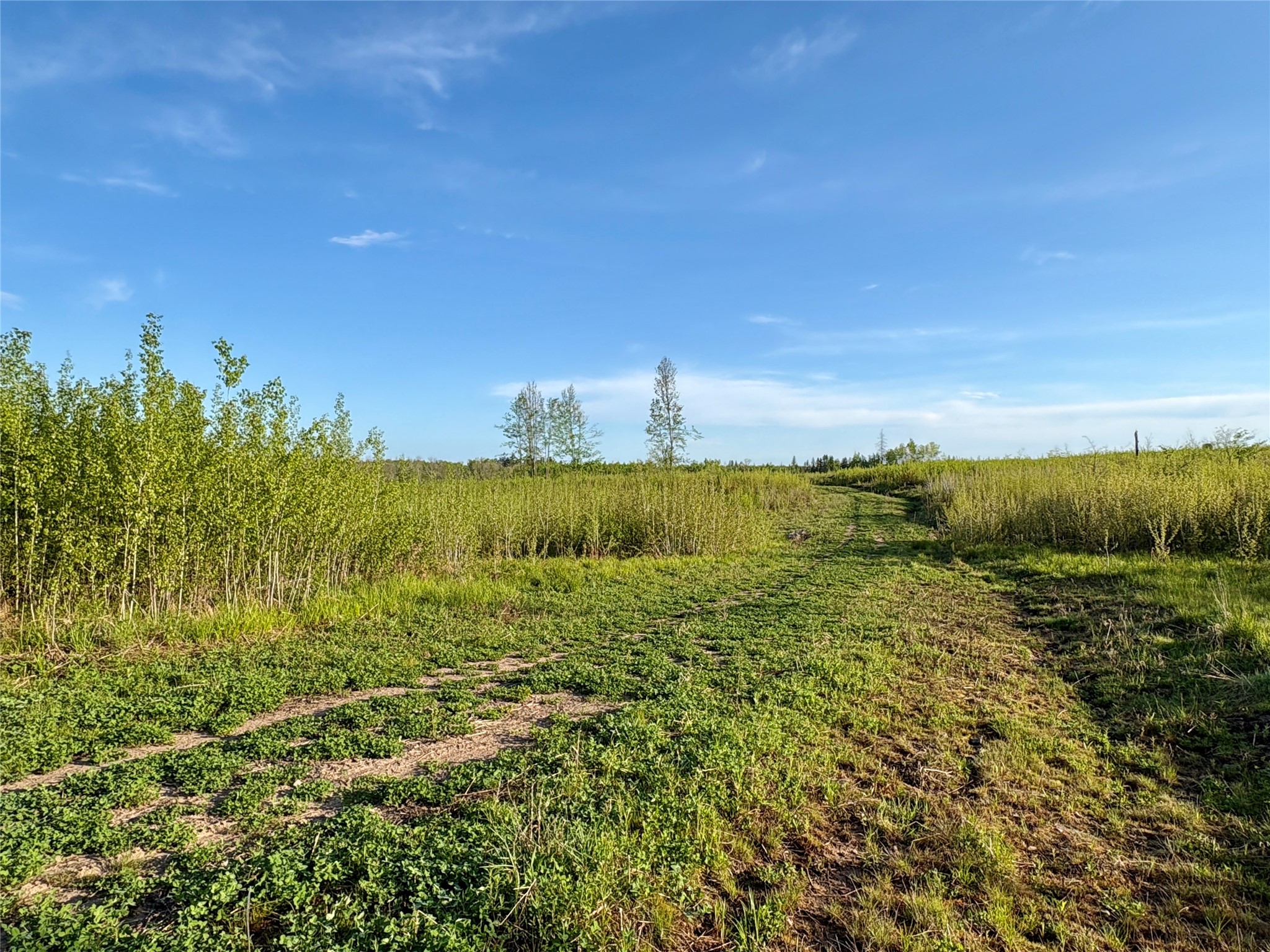 Lot 2 Girod Road Property Photo 6