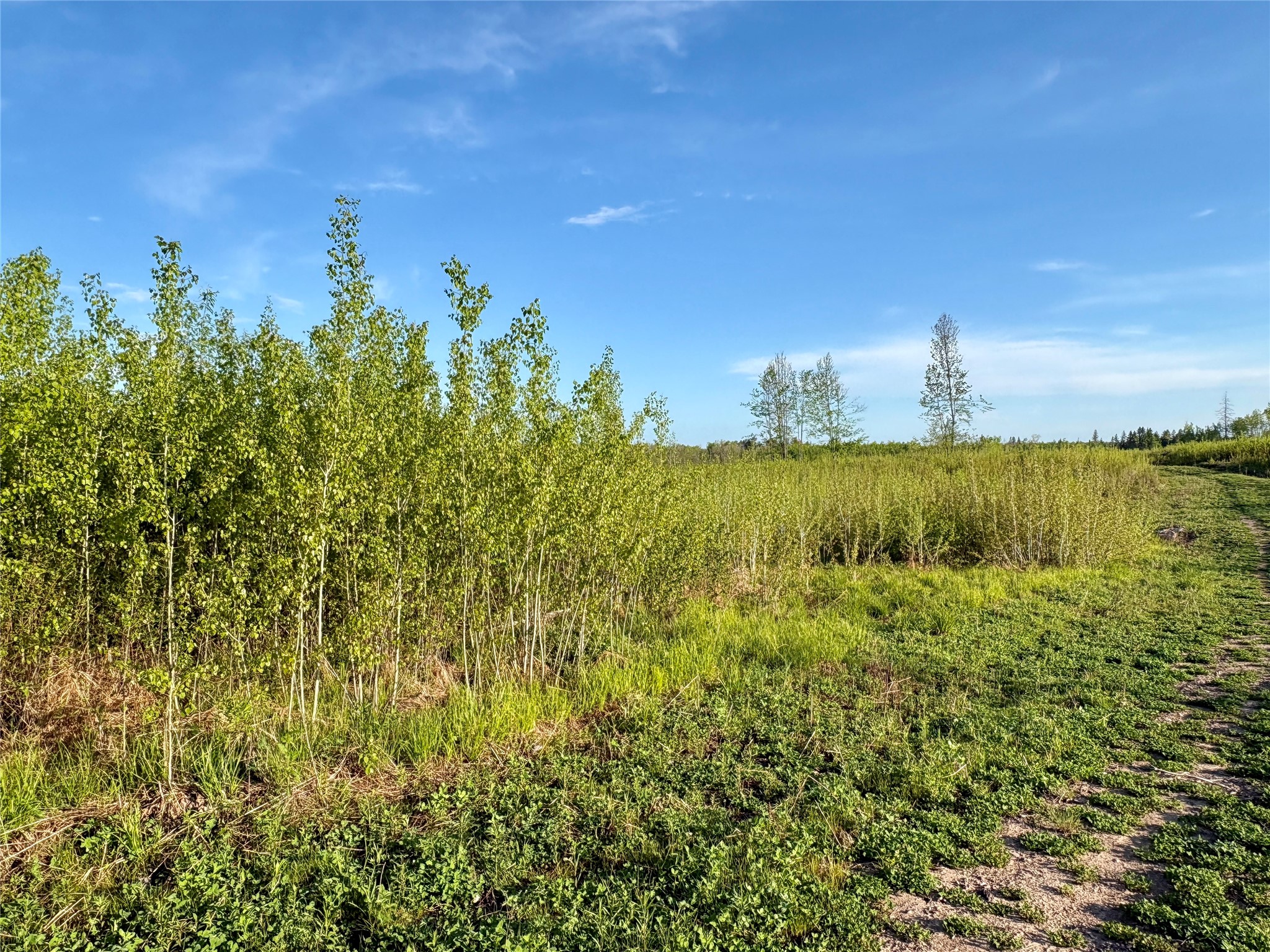 Lot 2 Girod Road Property Photo 7