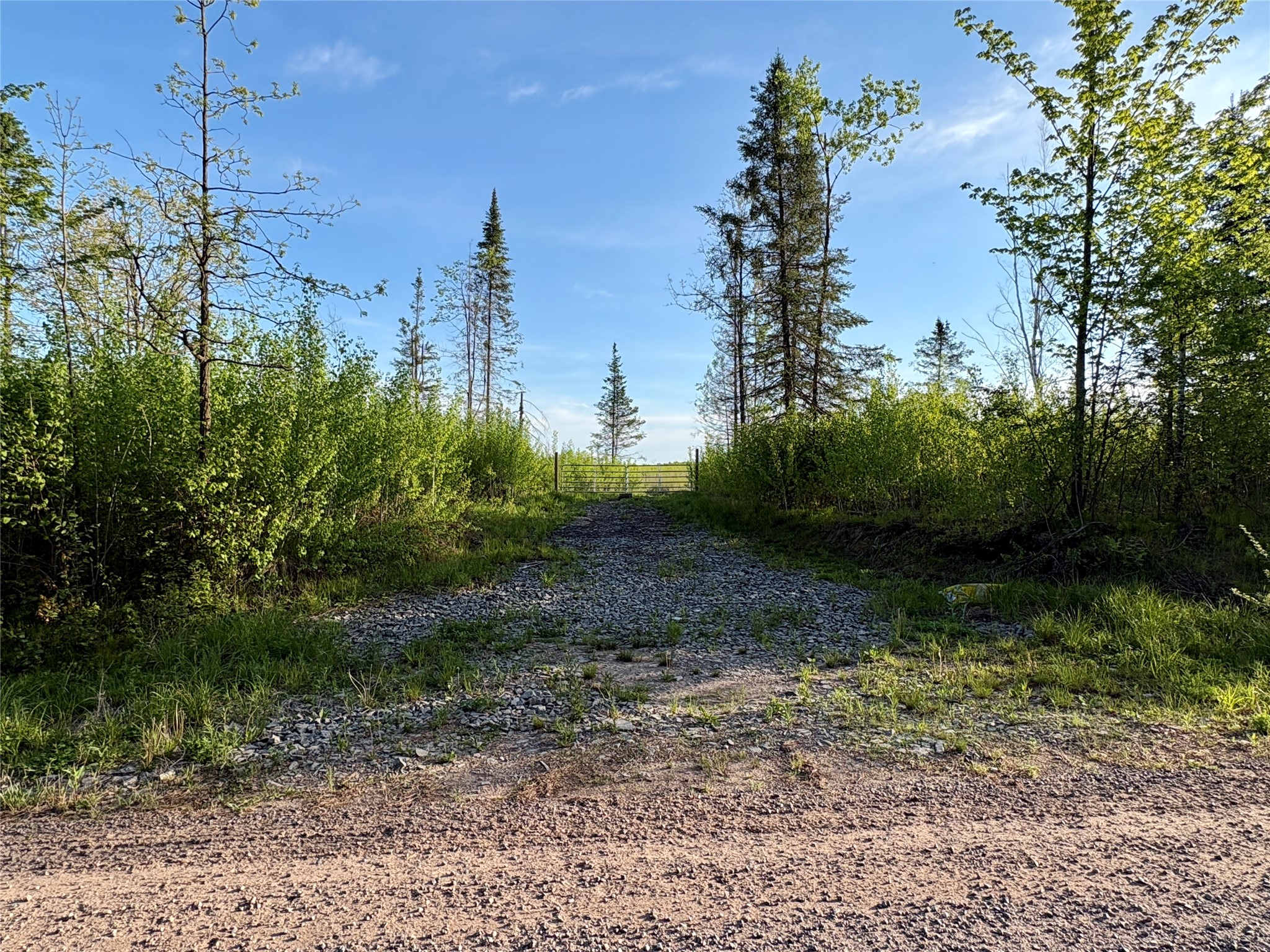 Lot 2 Girod Road Property Photo 8