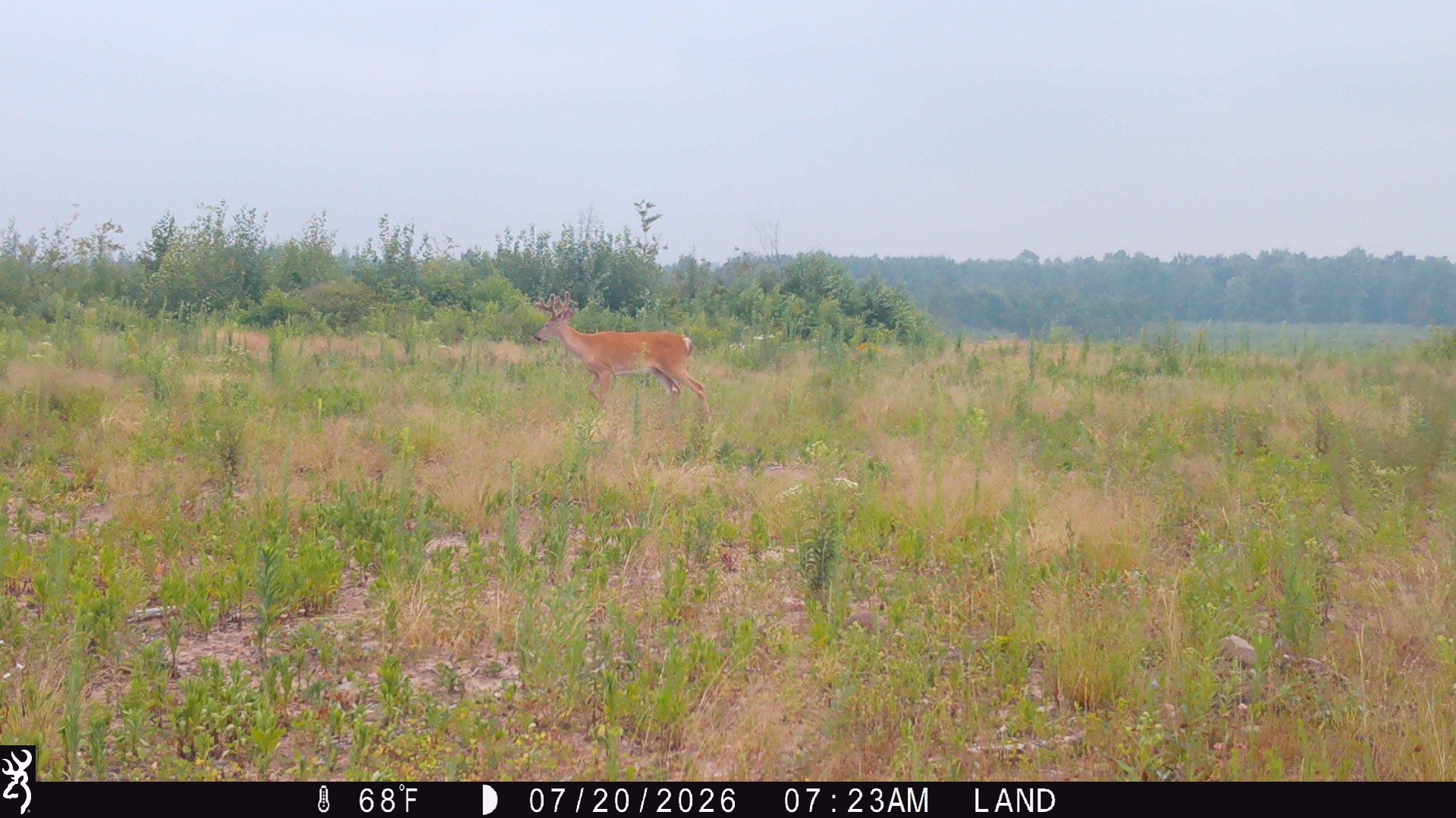 Lot 2 Girod Road Property Photo 9